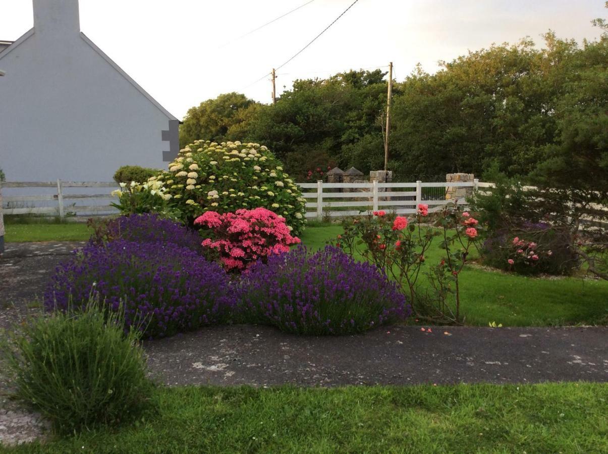 Kings Accommodation Donegal Town Exterior foto